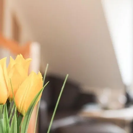 Dat-leenken דירה *